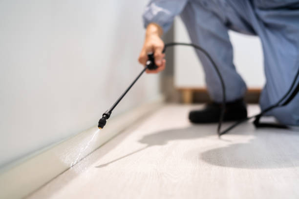 Licensed Cockroach Control service in Rossville, GA - Nex Pest Control