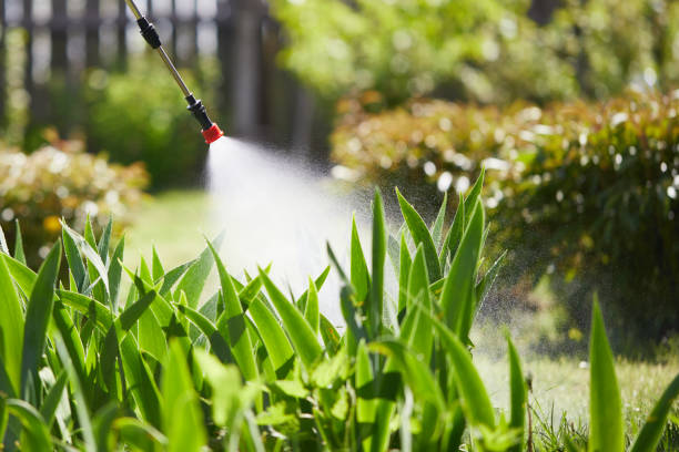 24/7 Emergency Cockroach Control experts in Rossville, GA