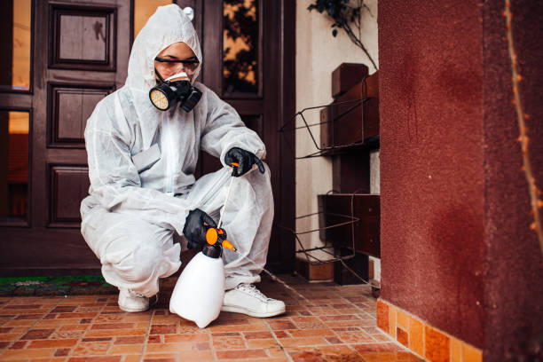 Reliable Cockroach Control contractor in Rossville, GA by Nex Pest Control