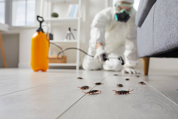 Trusted Fumigation Services service in Rossville, GA - Nex Pest Control