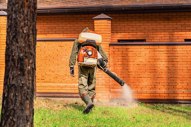 Trusted Rodent Control service in Rossville, GA - Nex Pest Control